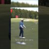 Caddies STOPS player during shot