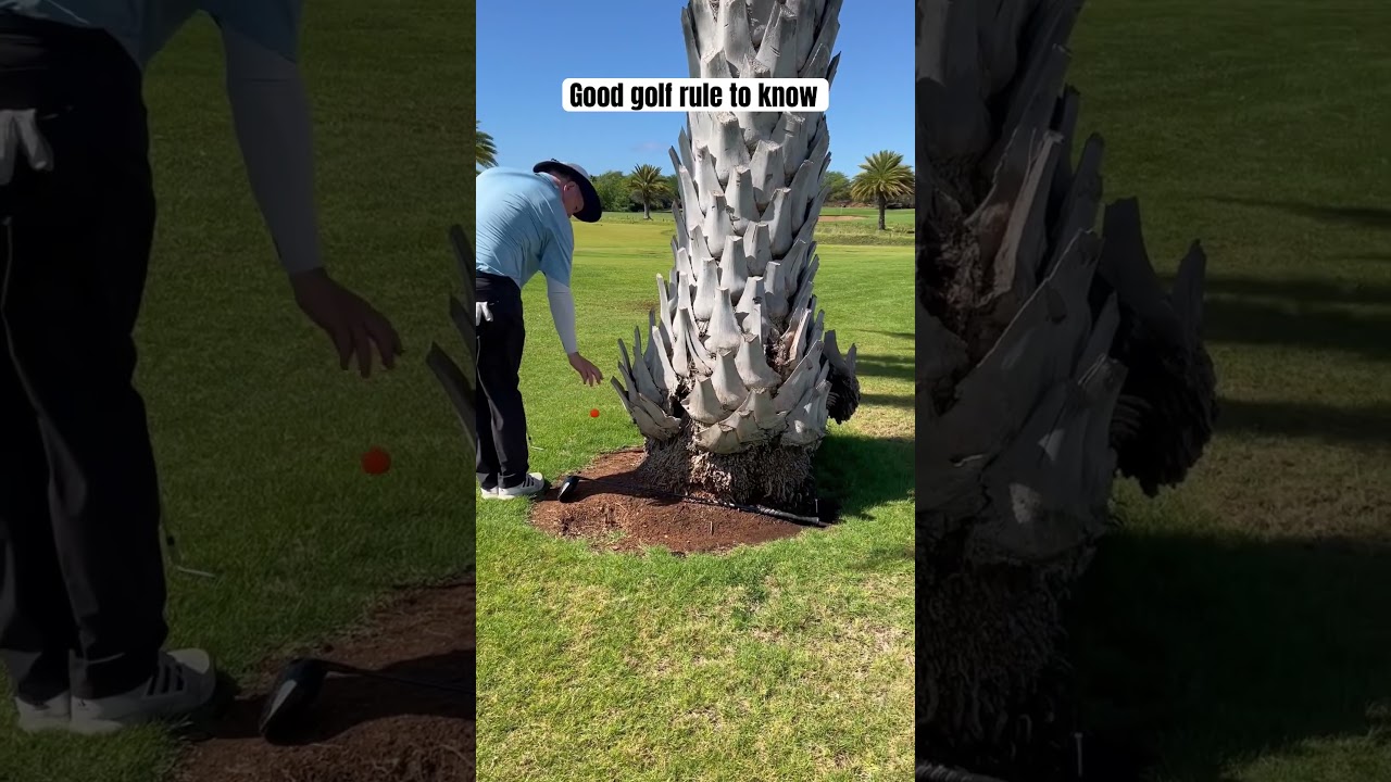 Crazy golf rule every player should know | golf rules