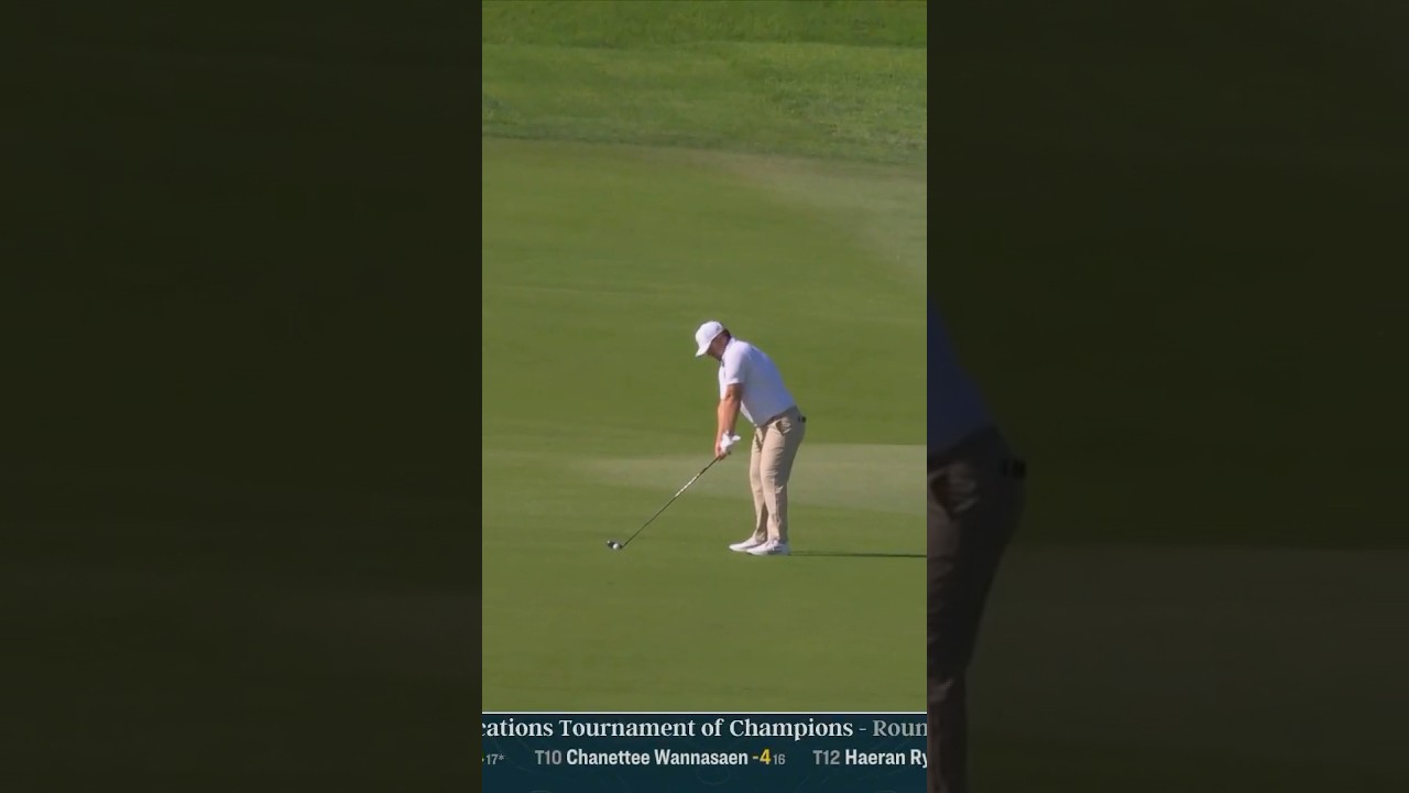 Inches from an albatross